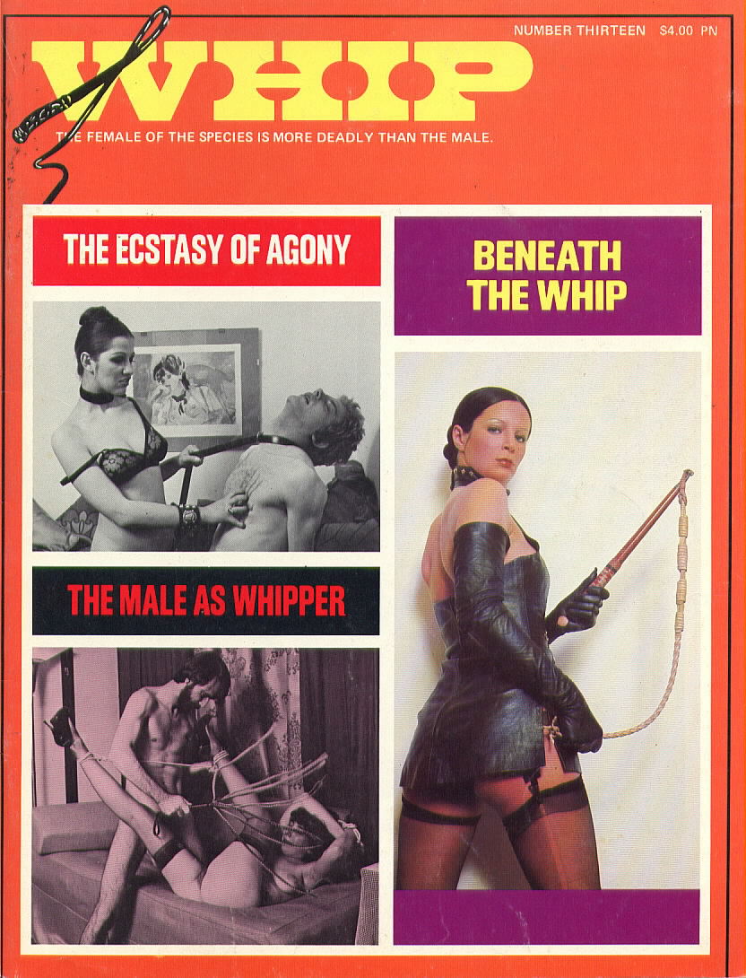 WHIP 13
